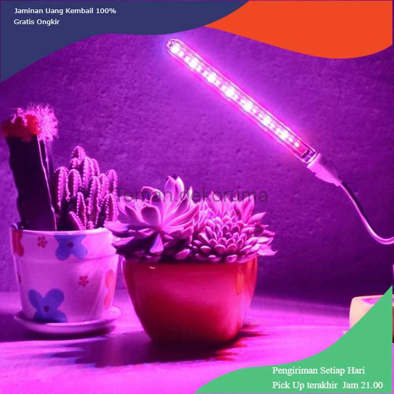 TD-DHA FENGLAIYI Lampu Tanaman Phyto Lamp Grow Light 21LED 10W - FE02