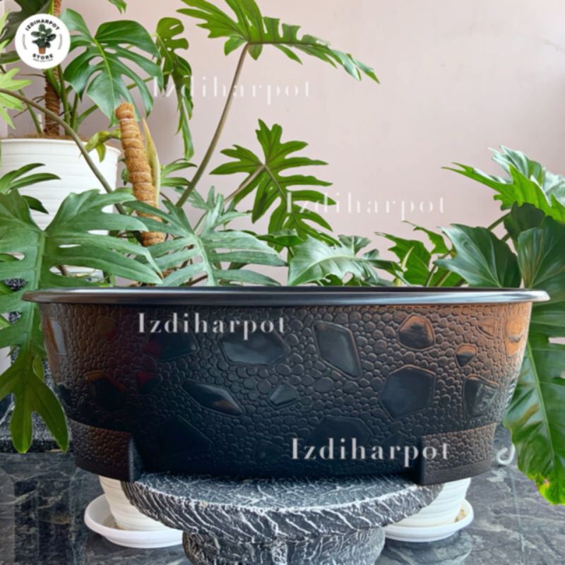 Pot bunga tanaman plastik bonsai oval 10 HITAM 50cm - OVAL 10 HITAM