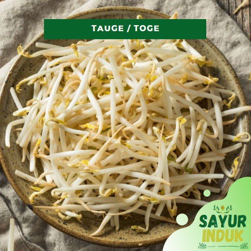 

Sayur Induk - Tauge 250 Gram Fresh Grade A Mung Bean Sprout