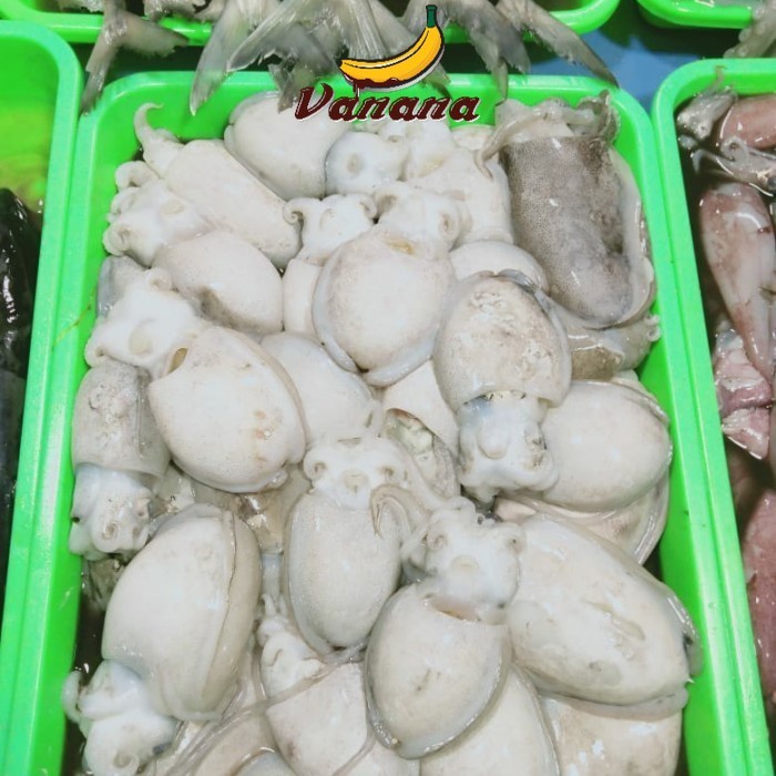 

Sotong 1kg (1000g)