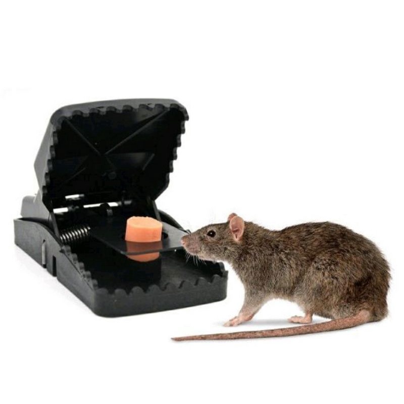 ALAT JEPIT PERANGKAP TIKUS / JEBAKAN TIKUS RUMAH / JEPRETAN TIKUS RUMAH (free bubble wrap)