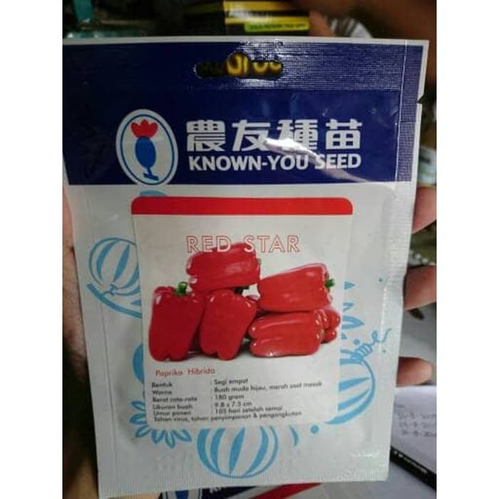 Benih eceran Paprika Red Star