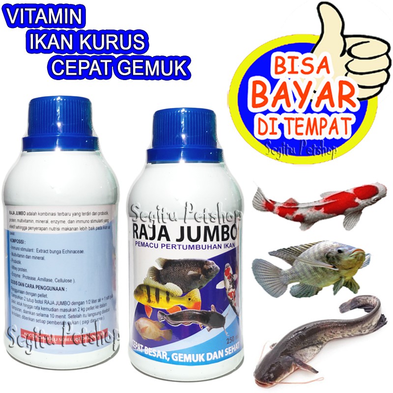 VITAMIN IKAN KURUS CEPAT GEMUK MAS MUJAIR LELE GURAMI PATIN BAWAL GABUS RAJA JUMBO