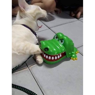 MAINAN GIGI BUAYA - GIGIT BUAYA | Shopee Indonesia