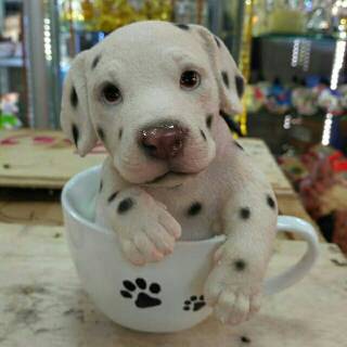 Patung Anjing Dalmatian In Cup Shopee Indonesia