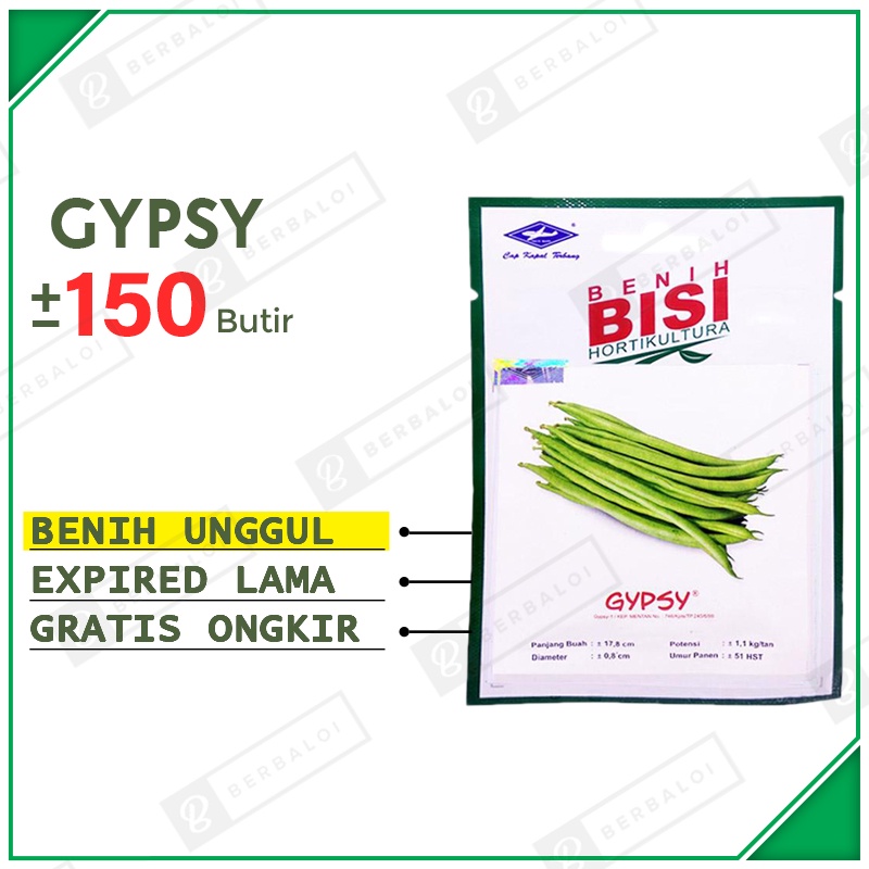 Gypsy Bibit Kacang Buncis Unggul Benih Buncis Genjah Hibrida