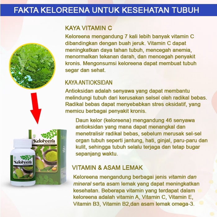 Obat Napas Pendek, Napas Berat, Nafas Terasa Engap, Napas Ngos Ngosan, Asma, Sesak Napas, Badan Lemas Cepat Lelah, Naps Bunyi Ngik - Keloreena Kapsul-2