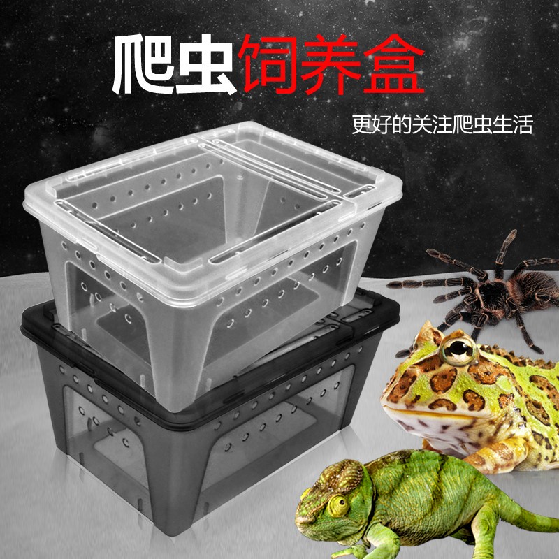 Breeding Box Reptile Box Kandang Tarantula Enclosure Feeding Box Square Box Kotak Reptil NOMOY H4 M 