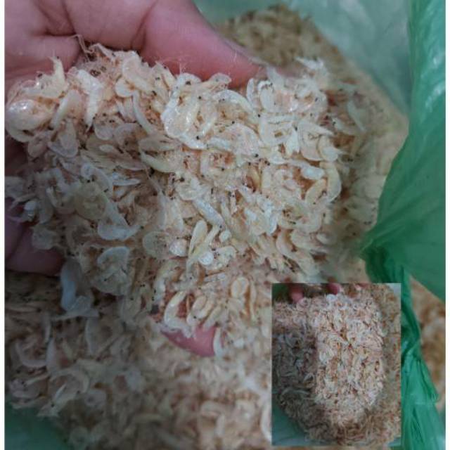 

Rebon [Realpict]
