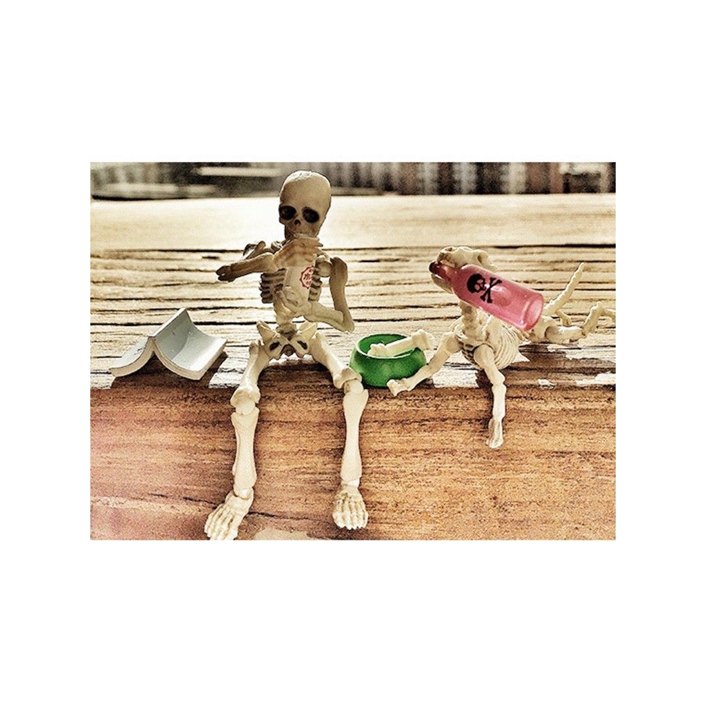 Mr Bones Skull Toy Pose Skeleton Human Body Flexible Action Figure