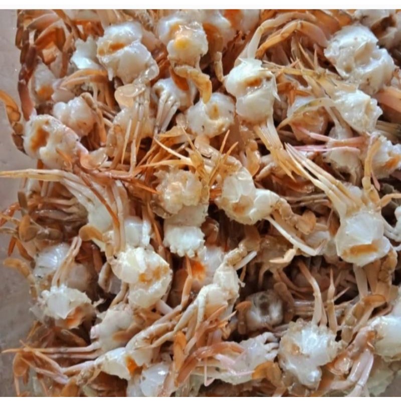Jual Baby Crab Cooked Frozen 1 kg Baby Crab Matang Bersih Shopee