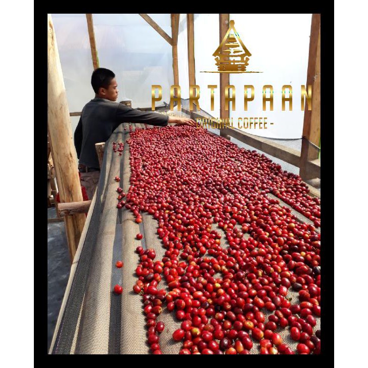 

Kopi Arabica Premium Sidikalang 250Gram / Bubuk Kopi / Biji Kopi Boom Sale