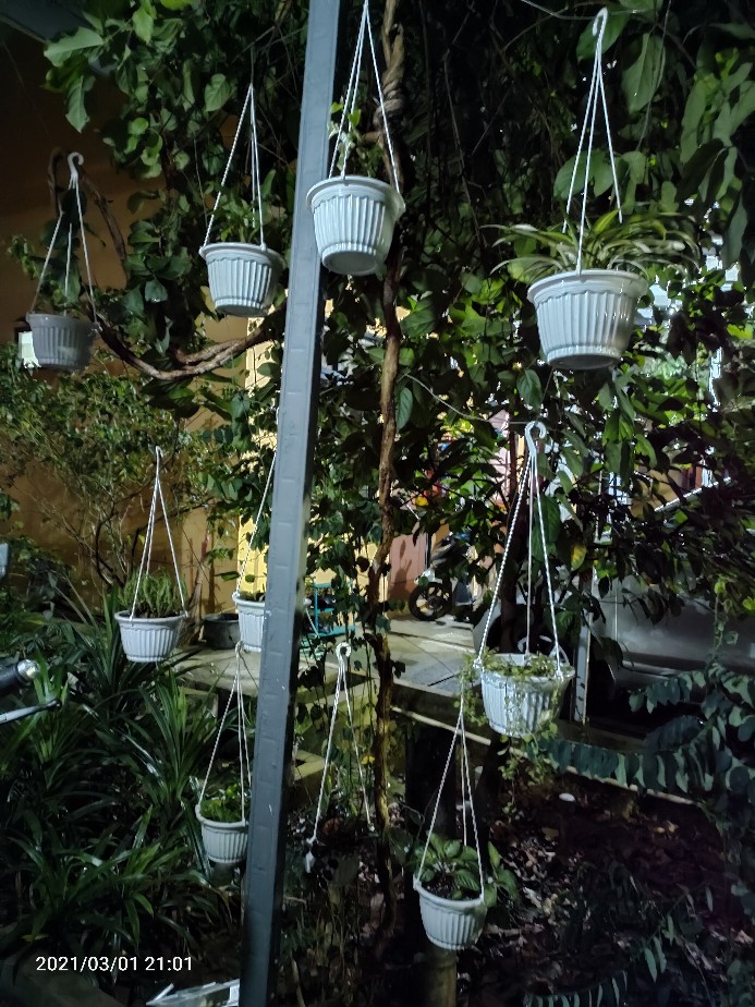 Tatakan 25 Putih Polos