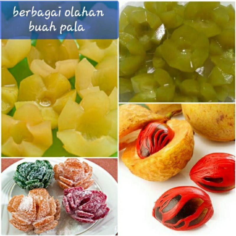 

Buah pala segar utuh 1 kg