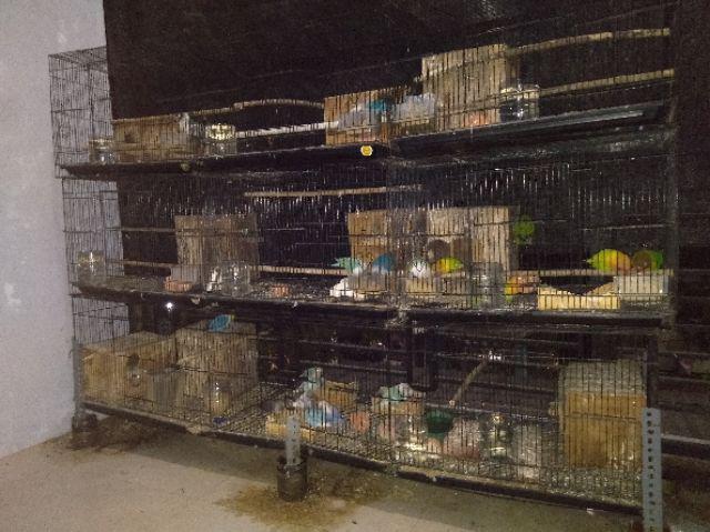 Terlaris Serut Genes Jelita Tunik Navbor Yelbor Whitebor Creambor Tunik Batik Modern