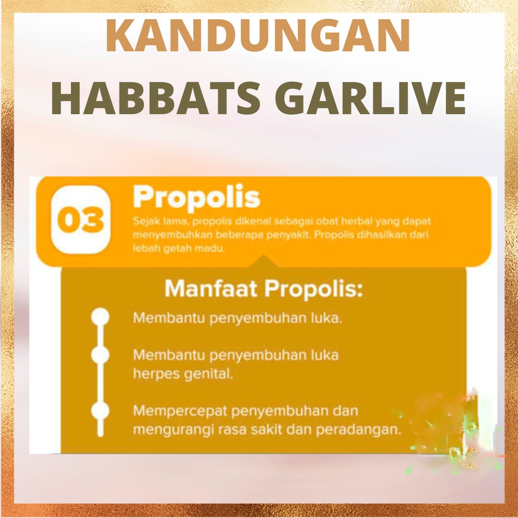 Habbats Garlive Habbat Habat Original 200 Kapsul Obat Herbal Diabet, Darah Tinggi, Kolesterol