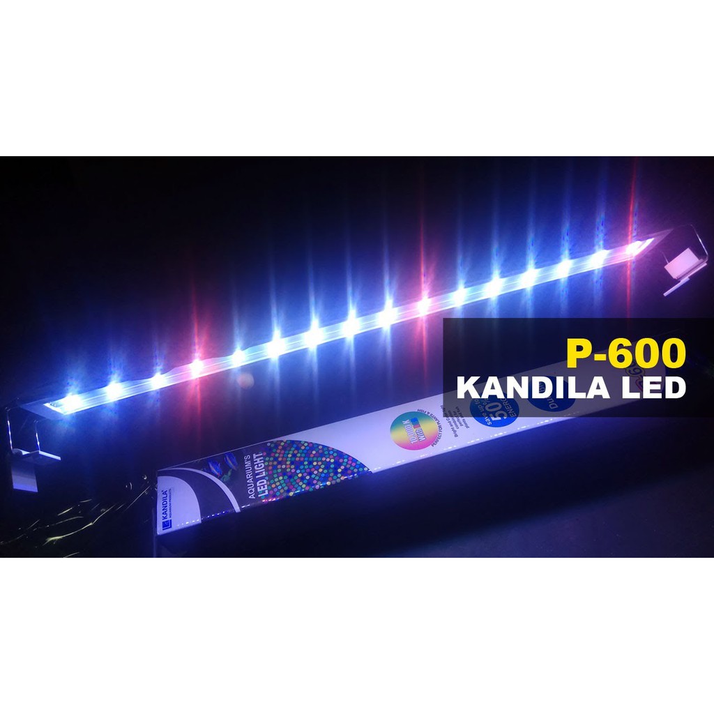 KANDILA P 600 P600 Lampu LED aquarium aquascape murah