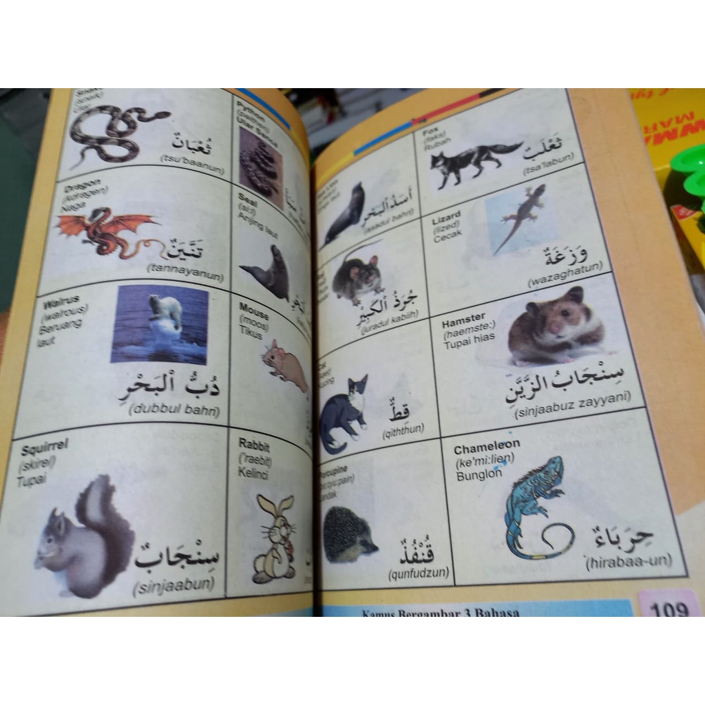 Buku Anak - Kamus 3 Bahasa (Indonesia - Inggris - Arab)