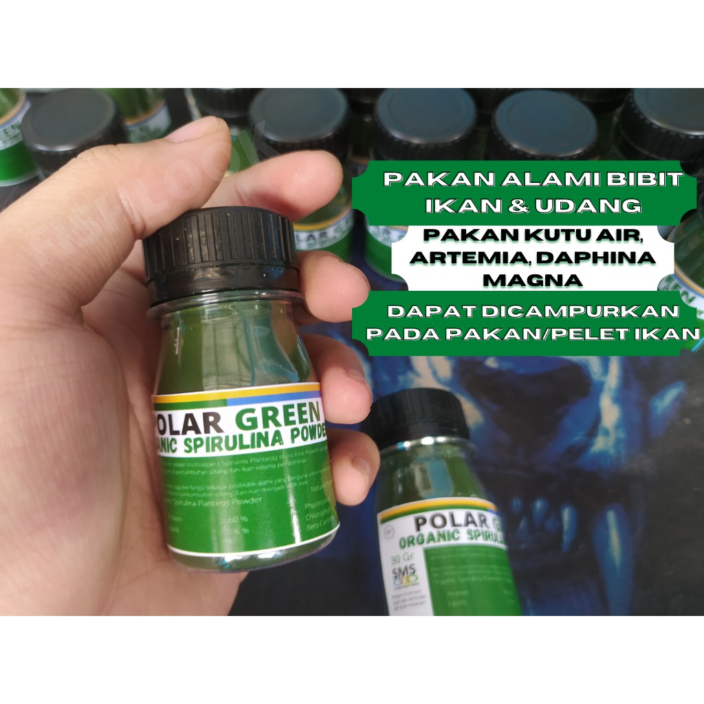 POLAR GREEN SPIRULINA POWDER PLATENSIS / PAKAN KUTIR DAPHNIA MAGNA CUPANG/ SPIRULINA ORGANIK