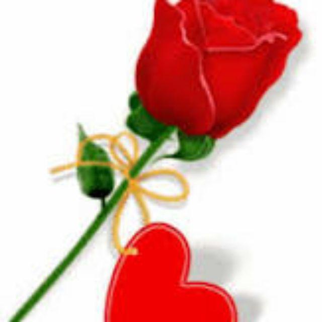 Sunlight Jeruk Nipis 1600ml