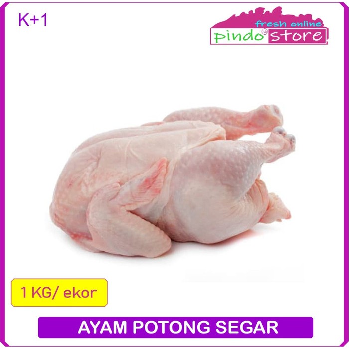 

AYAM POTONG SEGAR / AYAM BROILER SIZE A-B