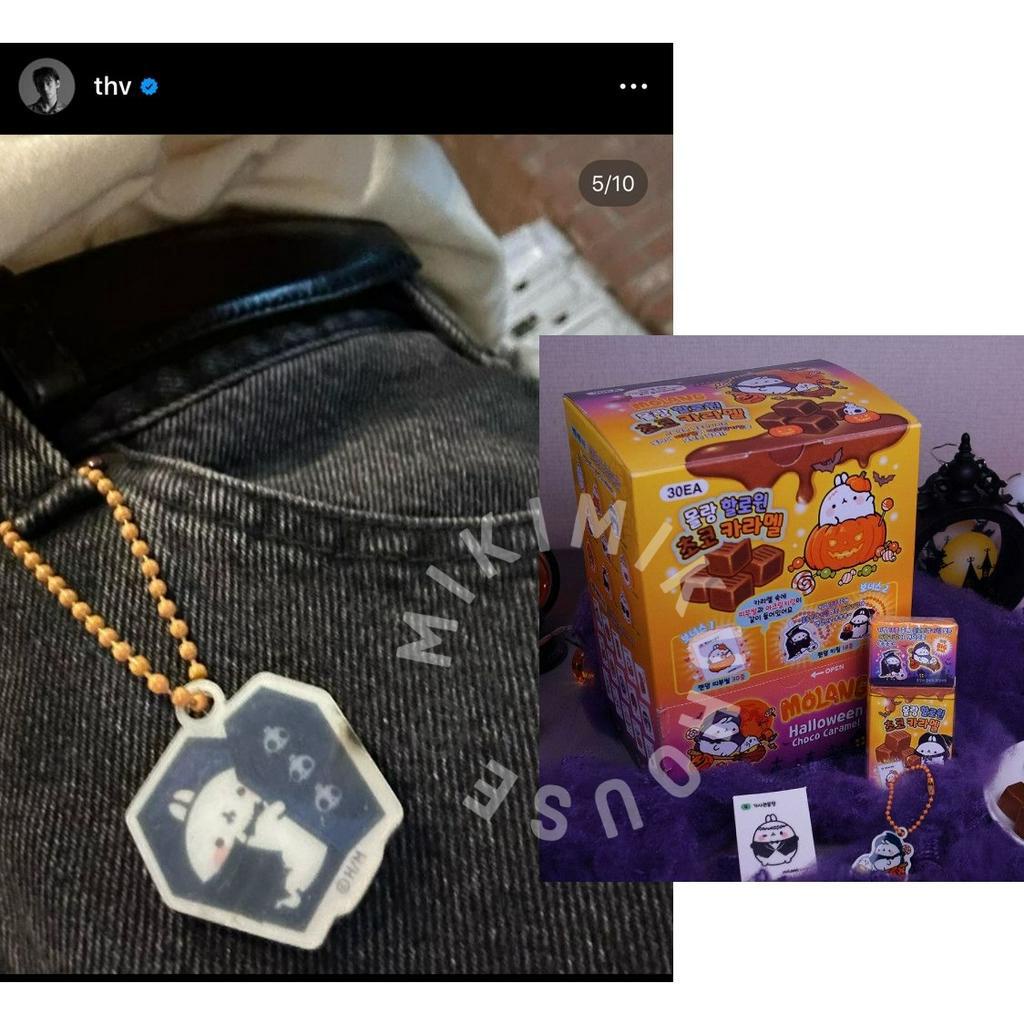 THV TAEHYUNG MOLANG KEYRING OFFICIAL KOREA COUPLE KPOP BTS PHOTOCARD PHOTO CARD PC HOLDER BT21