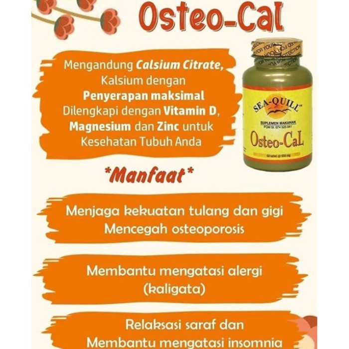 OSTEO CAL SEA QUILL ISI 30