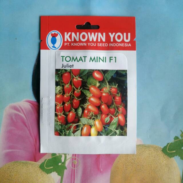 Benih Bibit Tomat Cherry Hibrida JULIET F1