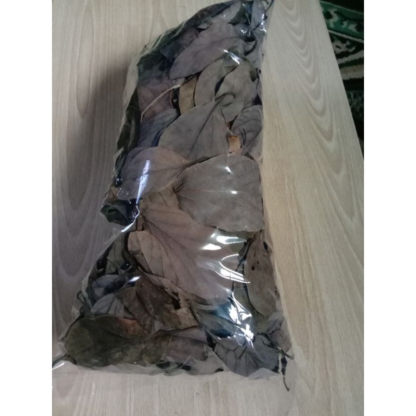 

Daun Alpokat kering herbal di proses dengan alami tanpa pengawet