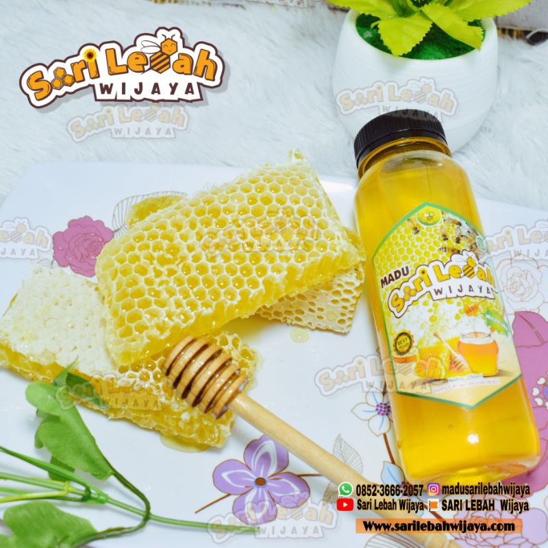 

Madu Murni Multiflora 350 gr