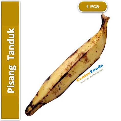 

Buah Pisang Tanduk - Pisang Agung | 1 Buah [ Harga Per PCS ]