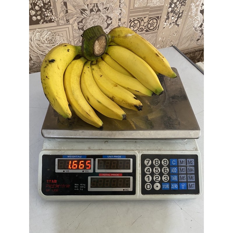 

Pisang ambon sedang