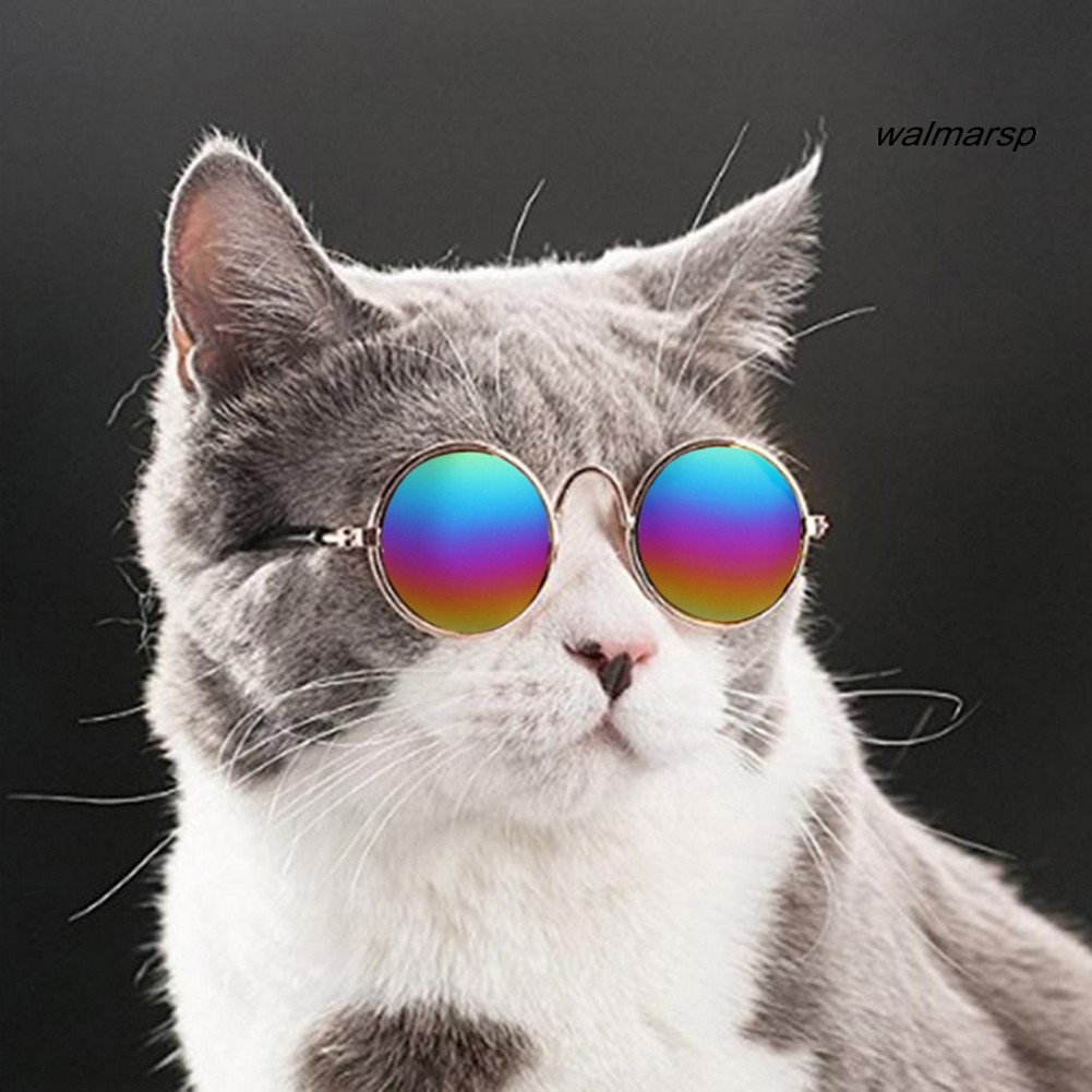 [Wal] Pet Cats Dog Glasses Sunglasses Eyewear Protection Photos Props Accessories