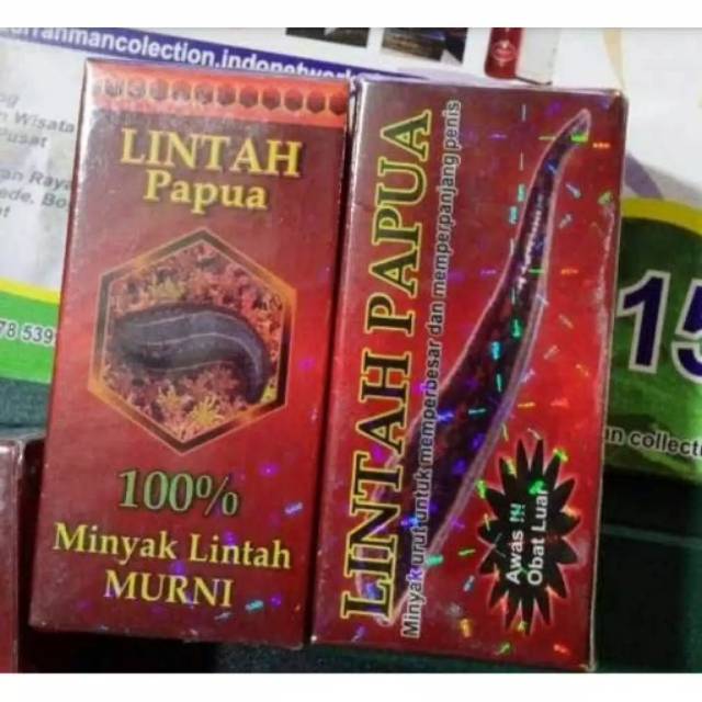 MINYAK LINTAH MERAH PAPUA OBAT HERBAL PENIS_KELAMIN-PEMBESAR PRIA ORIGINAL 100% ASLI