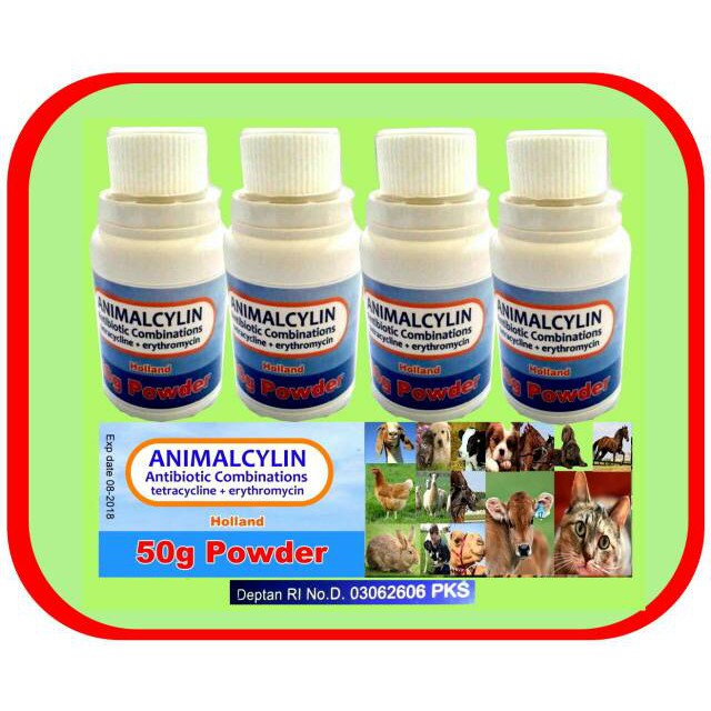 obat pilek anjing kucing hewan ampuh animalcylin