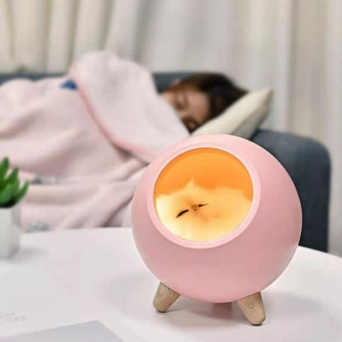 Lampu Tidur Kucing Lucu ready
