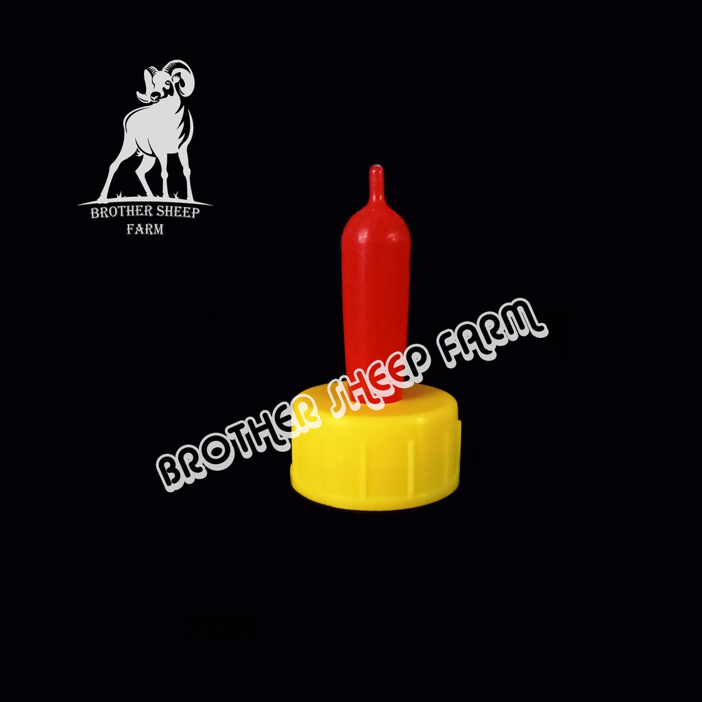 Niple Dot Susu Cempe Cemple Anak Domba dan Kambing