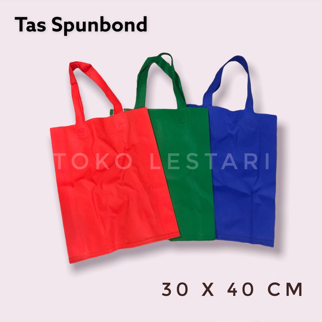 Tas Kain Spunbond 30x40 CM Handle / Tali Goodie Bag Kantong Polos