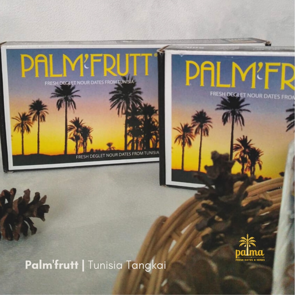 KURMA TUNISIA TANGKAI PALMFRUTT