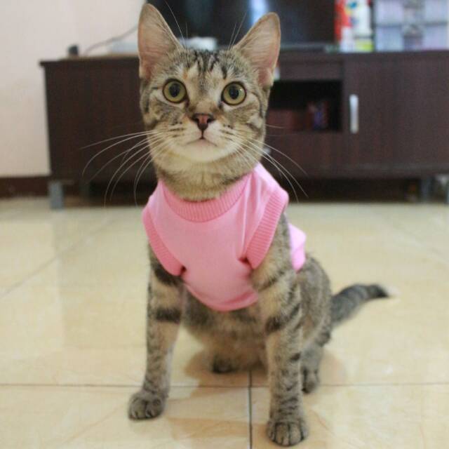 Kaos polos rip pink lucu untuk kucing &amp; anjing /Jual Baju Kucing Terlengkap &amp; Berkualitas size S-XL