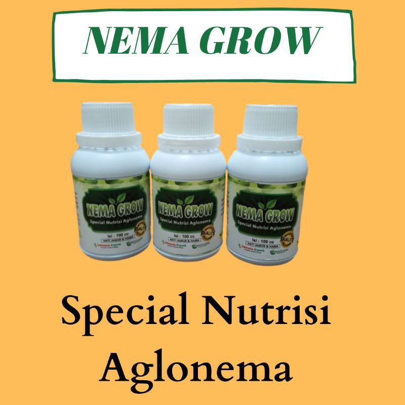 Pupuk Untuk Aglaonema Agar Berdaun Lebat, Pupuk Bunga Aglonema, Pupuk Buat Aglonema