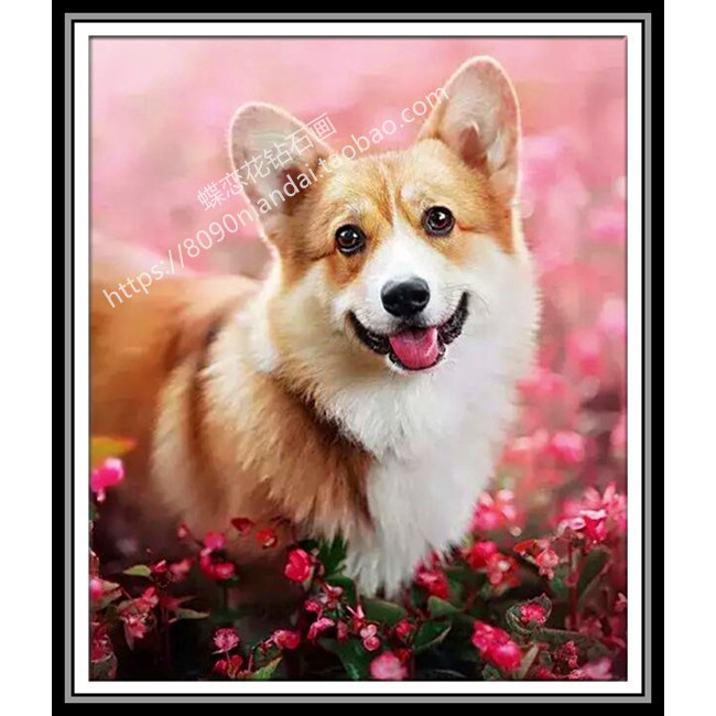 27++ Anjing corgi download