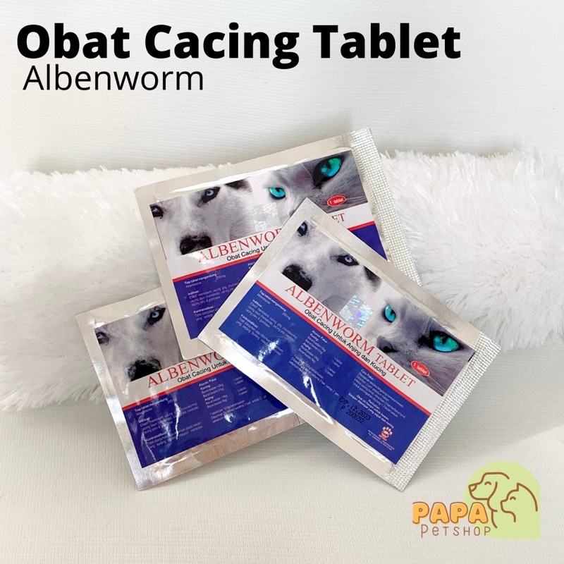 Obat Cacing kucing albenworm
