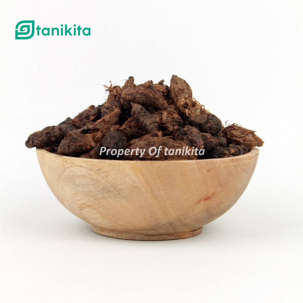 Rimpang Rumput Teki 500gr / Umbi Suket Teki / Umbi Manggata