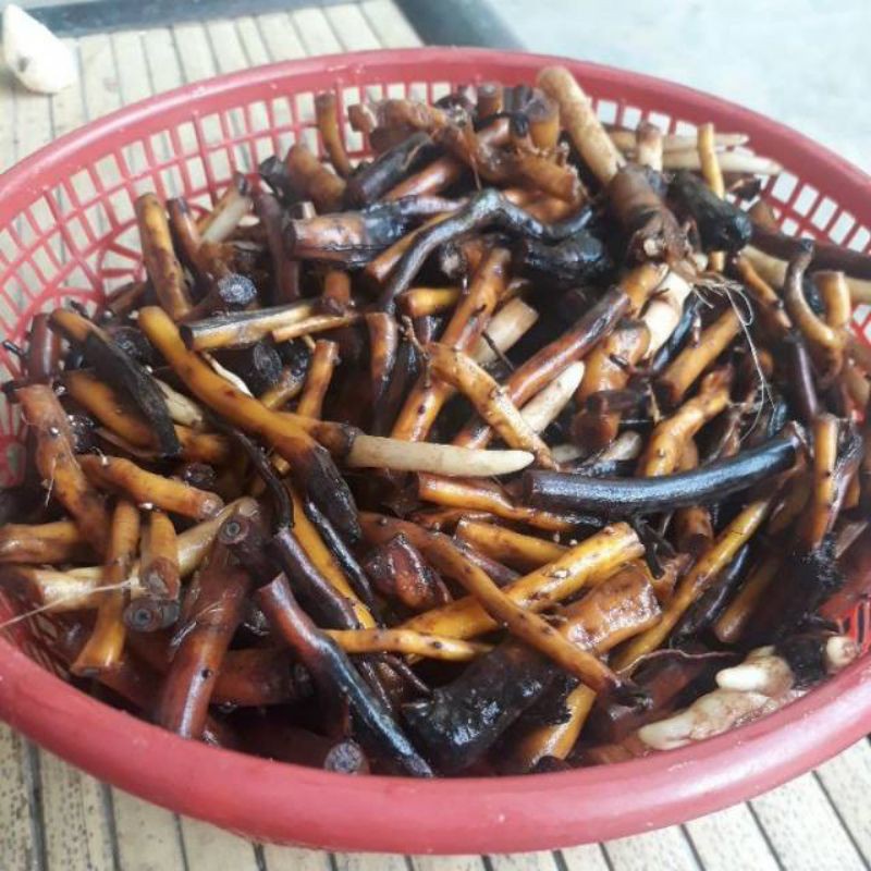 

Paket 500 gram akar Pohon Aren Segar Fresh Murah