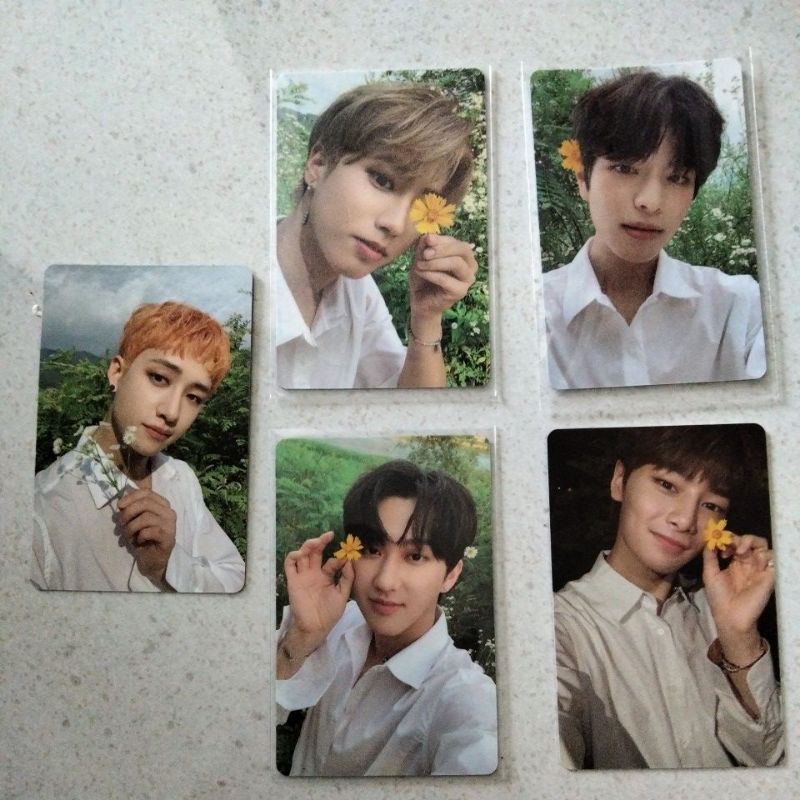 POB Straykids Synnara noeasy