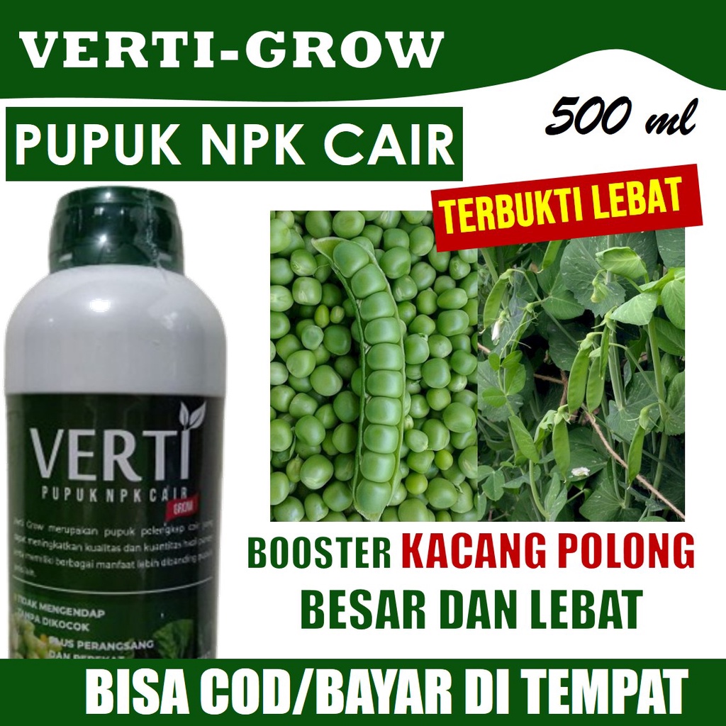 Pupuk Organik Pembanyak Kacang Polong Besar Terbaik Ampuh Membanyakkan  Kacang Polong/Ercis/Kapri Ta