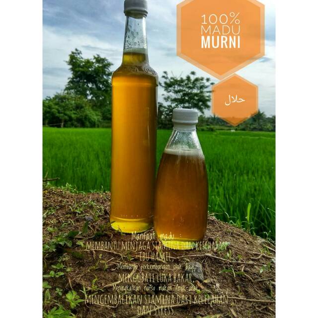 

Madu Murni (Madu Randu)