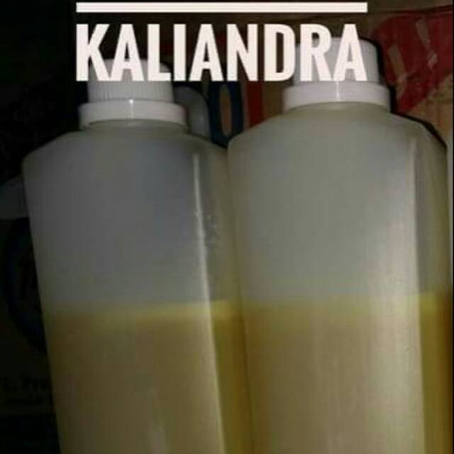 

Madu ternak kaliandra