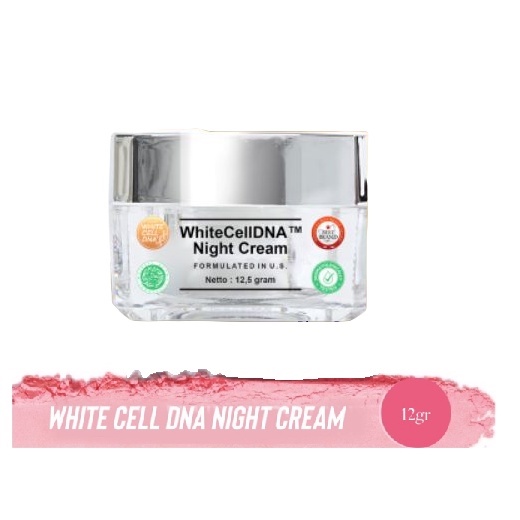 [NEW] MS Glow White Cell DNA Night Cream l Krim Malam Whitecelldna Terbaru